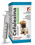 CEFALEXINA 250 MG SUSPENSION- 39 GS.