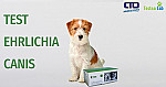 PETX TEST EHRLICHIA CANIS