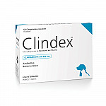 CLINDEX 400 MG X 120 COMP.