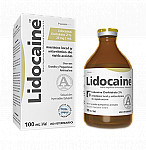 LIDOCAINE 2% X 100 ML.