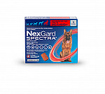 NEXGARD SPECTRA 30.1 A 60 KG (XL)