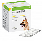 AMOXILIN 500 ESTUCHE X 100 COMP