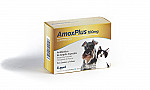 AMOX PLUS 100 X 50 COMP