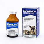 DEXA 2000 X 25 ML (AFFORD)