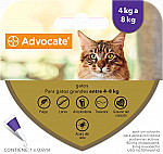 ADVOCATE GATOS + DE 4 KG