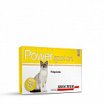 POWER GATOS CHICOS