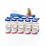 PROVIDEAN ENCEFALO 1 DOSIS